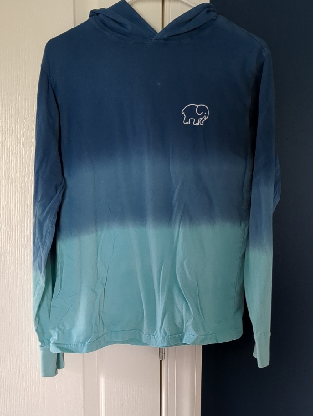 ivory ella Ombre Navy to Aqua Hooded Long Sleeve Tee